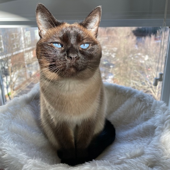 Meet Me: Brielle, Poshmark Ambassador! - Picture 8 of 9